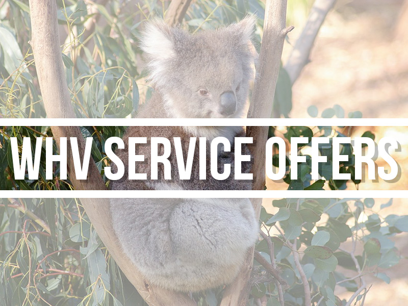 Layanan WHV 